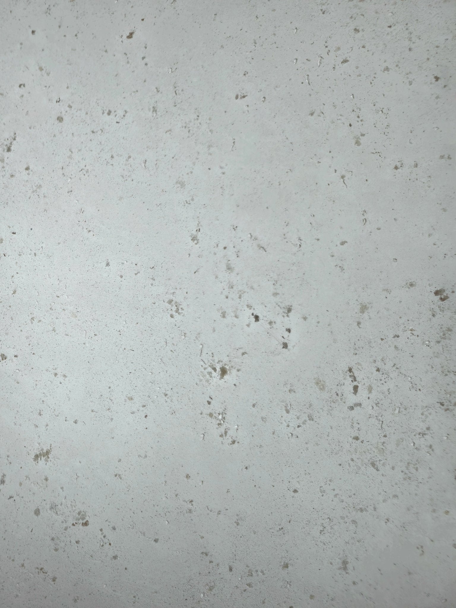 Novacolor Archi+ Pietra Intonaco: L’Anima della Pietra sulle tue Pareti - Nuova 2m Colori