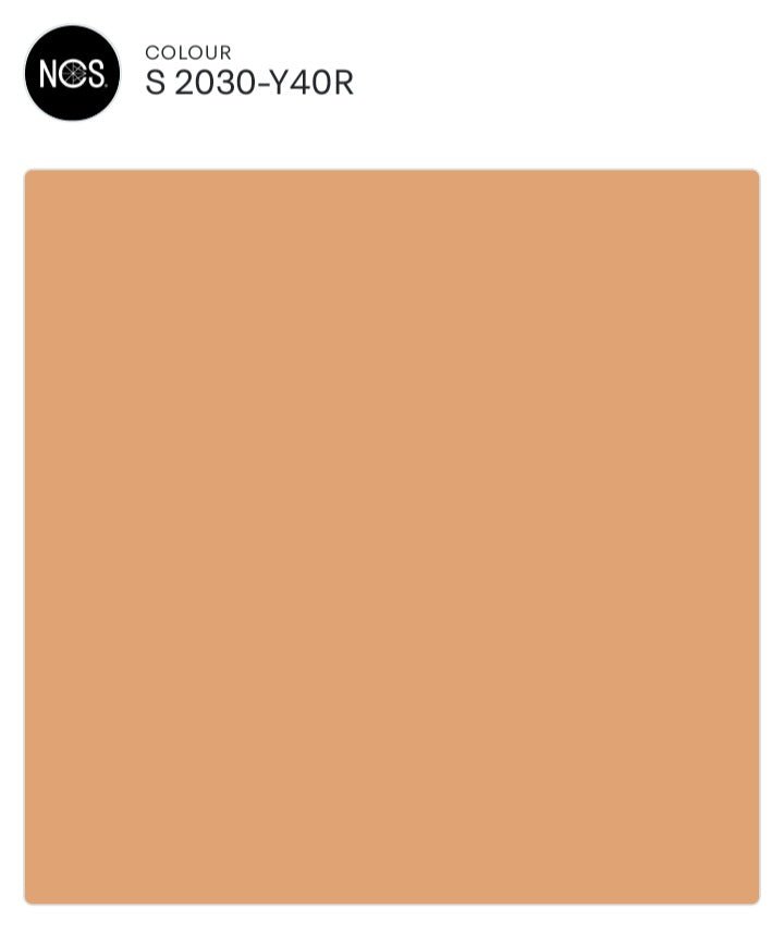 San Marco Colorevivo Superlavabile per Interni Alta Copertura - Nuova 2m Colori